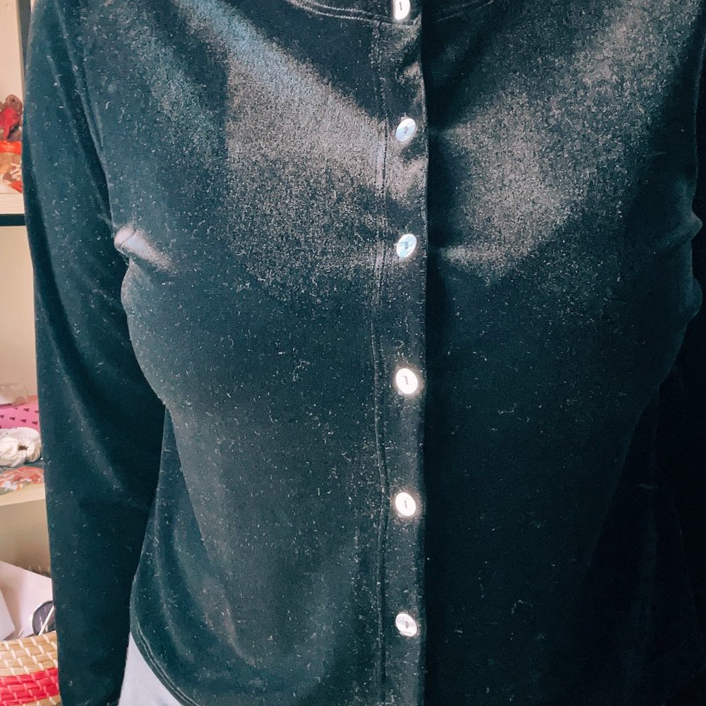 Women's Velvet Button Down Blouse